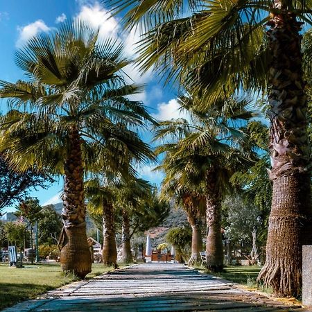 Hotel Rural Finca La Herencia Guadalcanal Екстер'єр фото